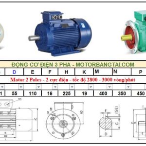 Động cơ điện 3 pha 45kw-2poles