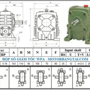 Hộp số wpa 40