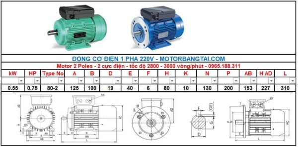 Motor điện 1 pha 0.55kw-2poles