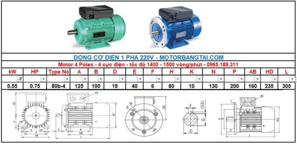 Motor điện 1 pha 0.55kw-4poles