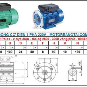 Motor điện 1 pha 0.75kw-2poles