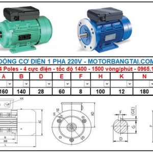 Motor điện 1 pha 0.75kw-4poles