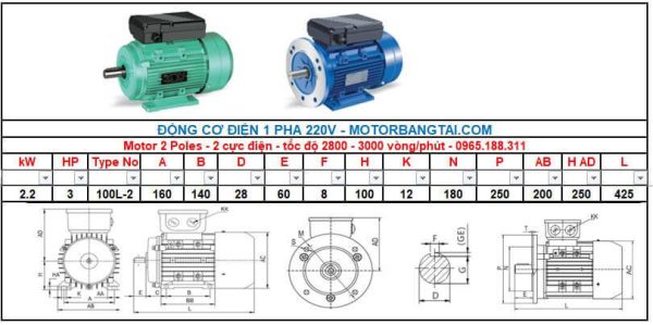 Motor điện 1 pha 2.2kw-2poles