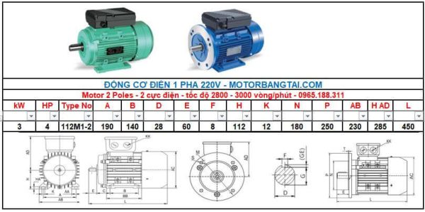 Motor điện 1 pha 3kw-2poles