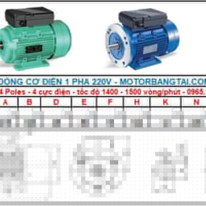 Motor điện 1 pha 3kw-4poles