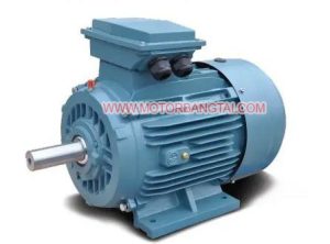 Motor điện 3 pha chân đế