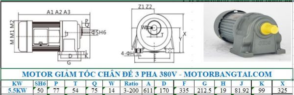 Motor giảm tốc 3 pha chân đế 5.5kw