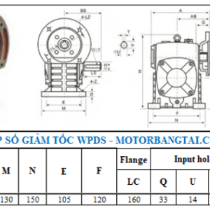 Hộp số wpds 60