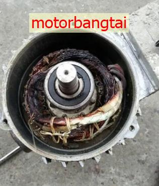 Nguyên nhân motor điện 3 pha không chạy - motor bị cháy