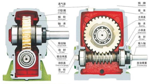 Cấu tạo hộp giảm tốc trục vít bánh răng