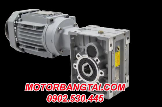 Motor Giảm Tốc Cốt Âm