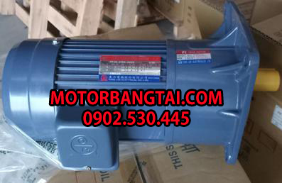 Motor giảm tốc Tunglee