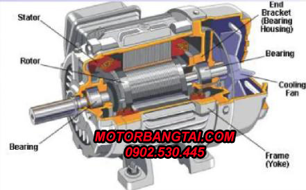 Cấu tạo motor điện 3 pha