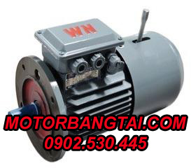 motor 3 pha không chổi than