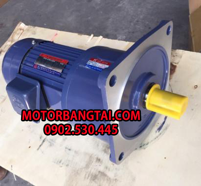 motor giảm tốc mặt bích