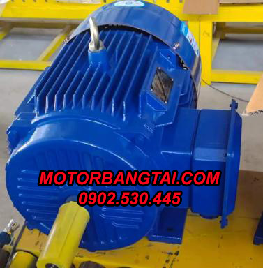 Motor điện 3 pha