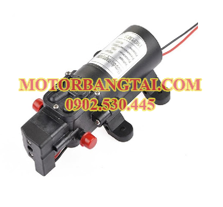 Motor bơm nước 12v