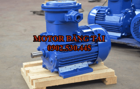 Motor điện phòng cháy nổ