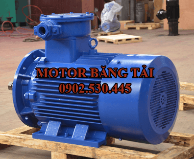 Motor điện phòng nổ 