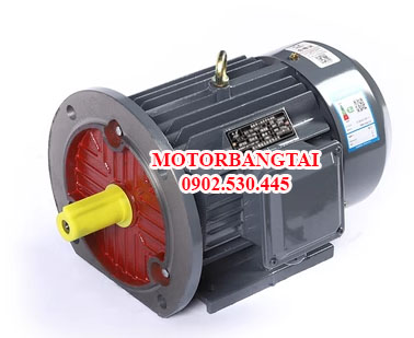 Mô tơ 3 pha 2.2kW mặt bích