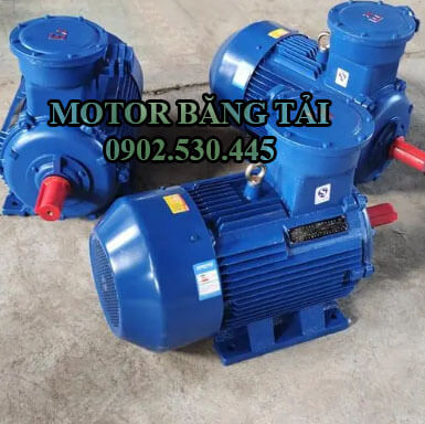 Motor bơm nước 1 pha