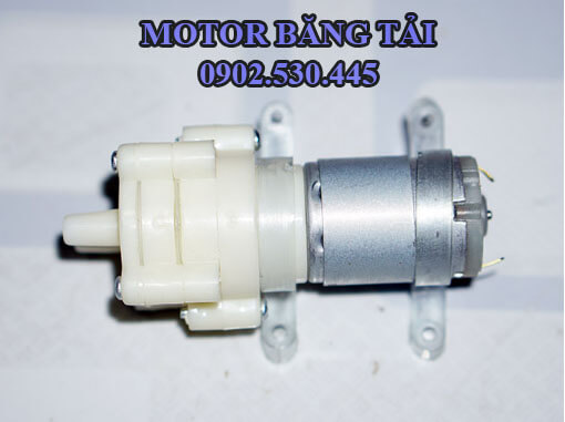 Motor bơm nước 12V