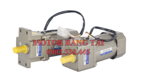 Motor giảm tốc mini