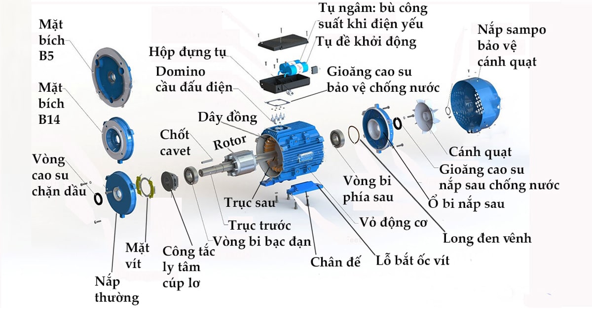 Motor điện 3 pha cấu tạo