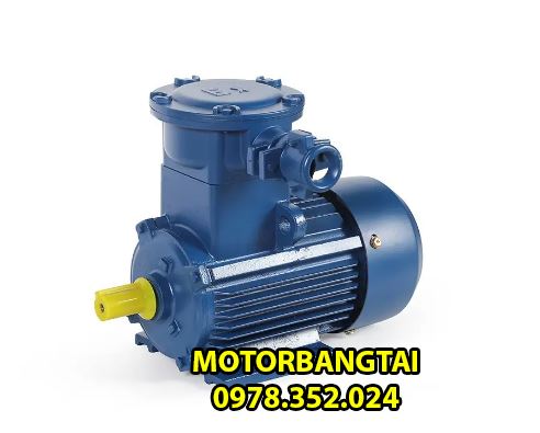 cách bảo dưỡng motor phòng nổ