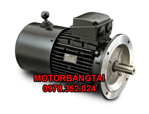 Lựa chọn motor 3 pha Đài Loan